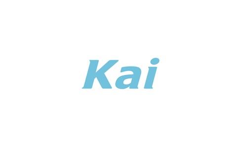 電子カルテkai