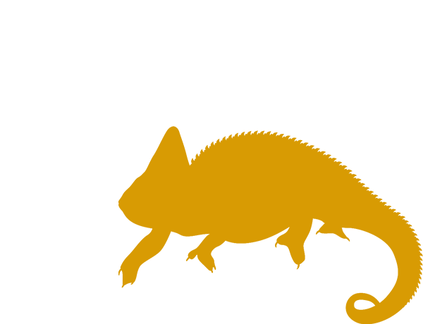 画像タイトル