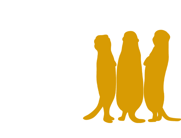 タブ表示＋