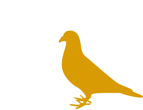 画像タイトル