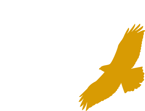 画像タイトル