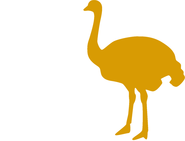 画像タイトル