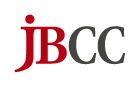 JBCC