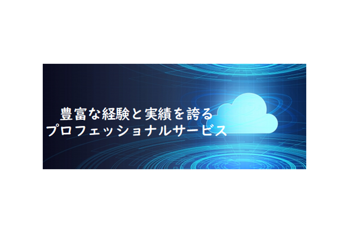 豊富な経験と実績を誇るプロフェッショナルサービス